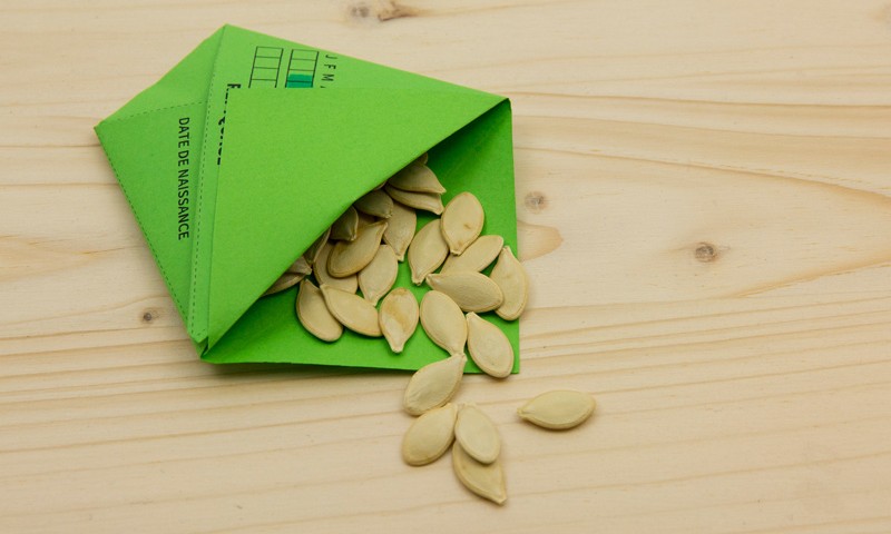 sachet en papier ouvert et graines de courge