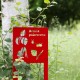 Panneau de signalétique devant l'arbre Betula pubescens