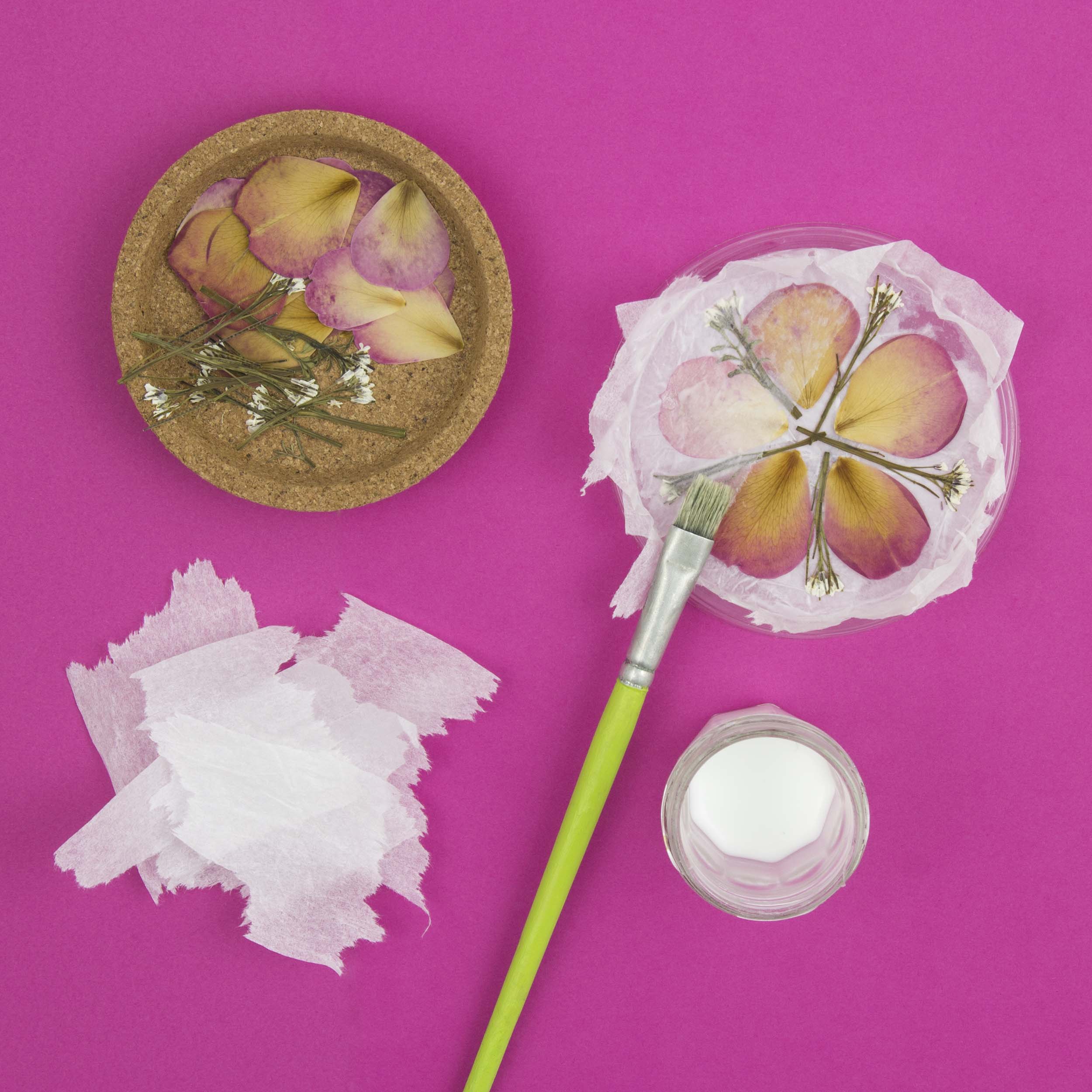 Activité créative à partir de fleurs séchées et de papier de soie